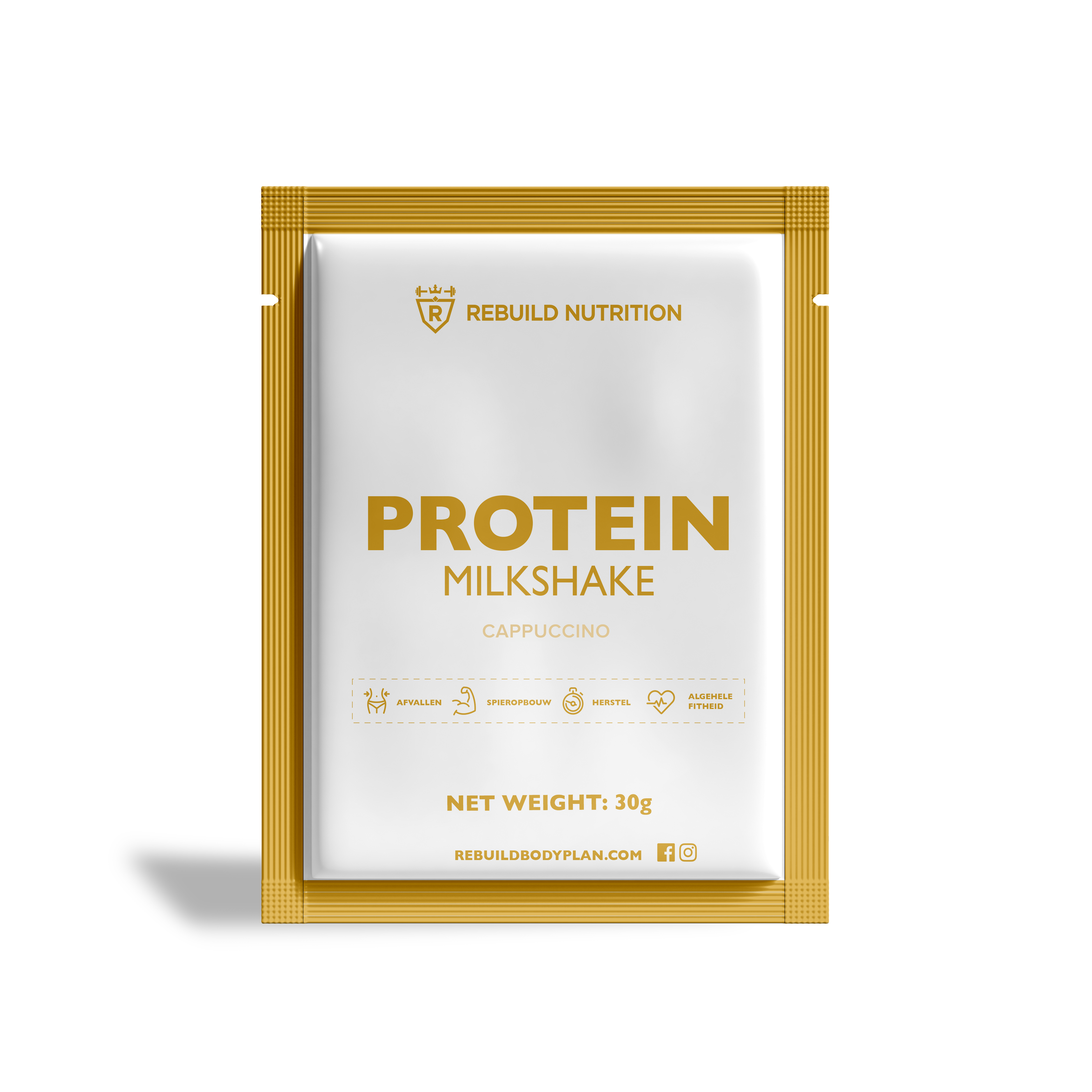 PROTEIN MILKSHAKE