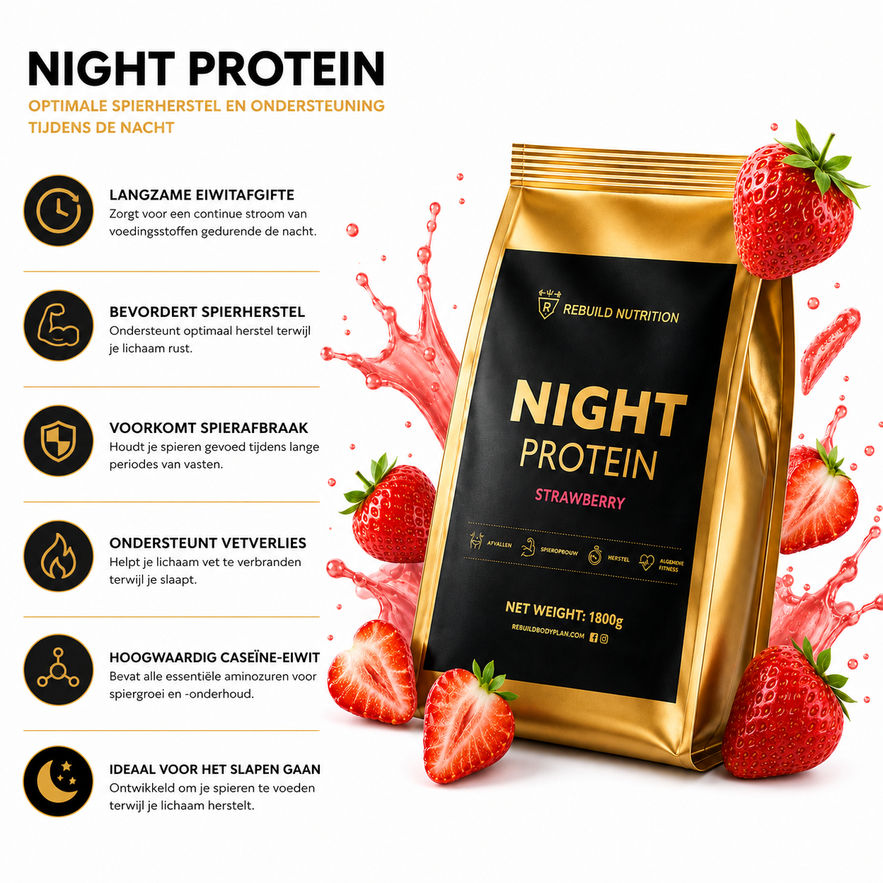 NIGHT PROTEIN
