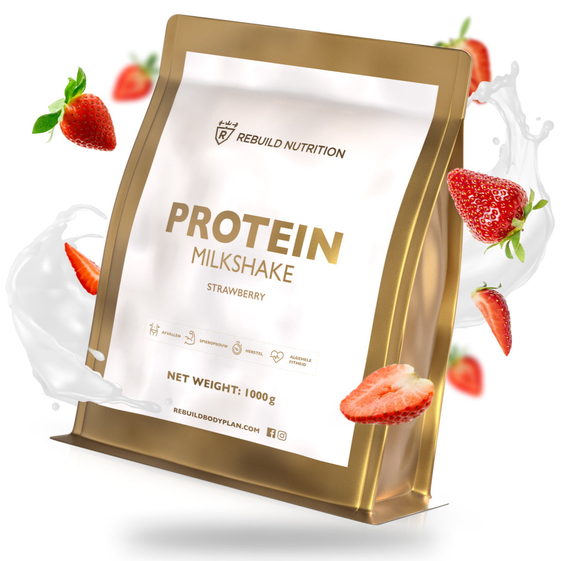 PROTEIN MILKSHAKE – Rebuild Body Plan